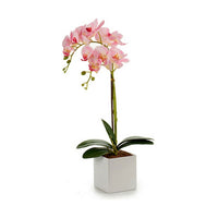 Dekorationspflanze Ibergarden A18124-50-2WH Kunststoff Orchidee 18 x 47 x 14 cm (6 Stück)