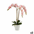 Dekorationspflanze Ibergarden A18124-71-3WH Kunststoff Orchidee 40 x 77 x 35 cm (2 Stück)
