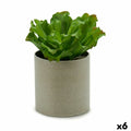 Dekorationspflanze Ibergarden YC181588 20 x 25 x 20 cm (6 Stück)