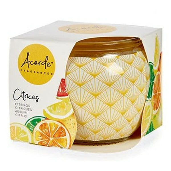 Duftkerze Acorde S.S. CITRUS Zitro (12 Stück)
