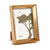 Fotorahmen WPC0235MG-1 Gold Glas Kunststoff (6 Stück)