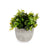 Dekorationspflanze Ibergarden QY-H021 Kunststoff Blomster 20 x 20,5 x 20 cm (8 Stück)
