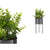 Dekorationspflanze Ibergarden QY-H096 Metall Kunststoff Eukalyptusbaum 14 x 40 x 14 cm (8 Stück)