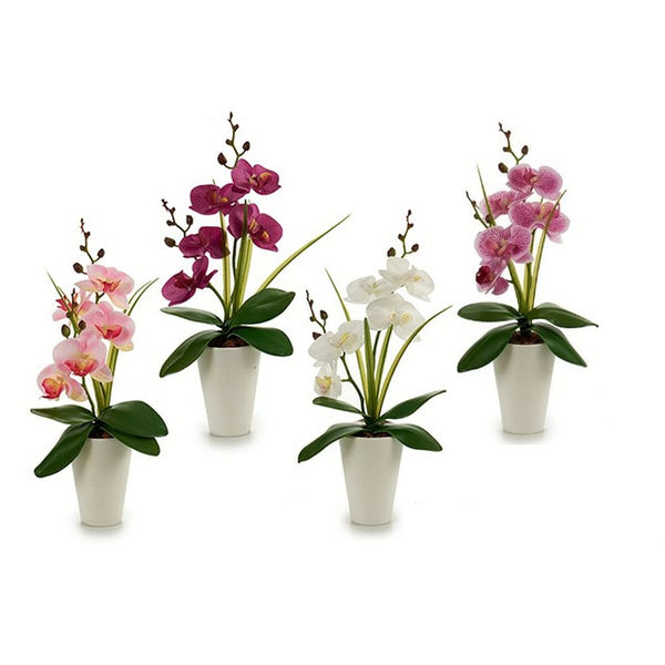 Dekorative Blume Ibergarden Orchidee 14 x 35 x 8 cm (12 Stück)