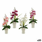 Dekorative Blume Ibergarden Orchidee 14 x 35 x 8 cm (12 Stück)