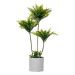 Dekorationspflanze Ibergarden XD22-1826 Kunststoff Zement Palme 20 x 70 x 20 cm (4 Stück)