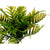 Dekorationspflanze Ibergarden XD22-1826 Kunststoff Zement Palme 20 x 70 x 20 cm (4 Stück)
