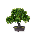 Dekorationspflanze Ibergarden XD19-1395B Kunststoff Bonsai 27 x 28 x 14 cm (8 Stück)