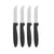 Schälmesserset Kinvara Schwarz Silberfarben Edelstahl Polypropylen Kunststoff 17,2 cm 12,5 x 26,2 x 1 cm (12 Stück)