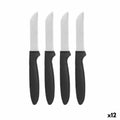 Schälmesserset Kinvara Schwarz Silberfarben Edelstahl Polypropylen Kunststoff 17,2 cm 12,5 x 26,2 x 1 cm (12 Stück)