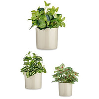 Blumentopfset Ibergarden CILINDRO-7044 Grau Lehm Zylinder Ø 14 cm Ø 22 cm Ø 17 cm 3 Stücke