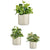 Blumentopfset Ibergarden CILINDRO-7044 Grau Lehm Zylinder Ø 14 cm Ø 22 cm Ø 17 cm 3 Stücke