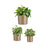 Blumentopfset Ibergarden CILINDRO-7006 Taupe Lehm Zylinder Ø 14 cm Ø 22 cm Ø 17 cm 3 Stücke