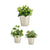 Blumentopfset Ibergarden CONICO-7044 Grau Lehm Cónica Ø 14 cm Ø 22 cm Ø 17 cm 3 Stücke