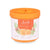 Lufterfrischer Acorde Orange Ingwer 190 g (24 Stück)