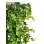 Vertikalen Garten Ibergarden Kunststoff Blatt 50 x 50 cm 50 x 0,07 x 50 cm