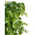 Vertikalen Garten Ibergarden Kunststoff Blatt 50 x 50 cm 50 x 0,07 x 50 cm