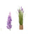 Dekorationspflanze Ibergarden GD013302A Schnur Kunststoff 30 x 69 x 30 cm (3 Stück)