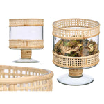 Kerzenschale Gift Decor Durchsichtig natürlich Glas Rattan 15 x 20 x 15 cm (6 Stück)