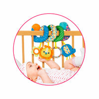 Rassel Winfun 20 x 20 x 9 cm (6 Stück)