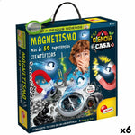 Wissenschaftsspiel Lisciani Giochi Magnetismo ES (6 Stück)