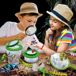 Wissenschaftsspiel Lisciani Giochi Insectos ES (6 Stück)