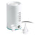 Luftpumpe Intex (6 Stück)