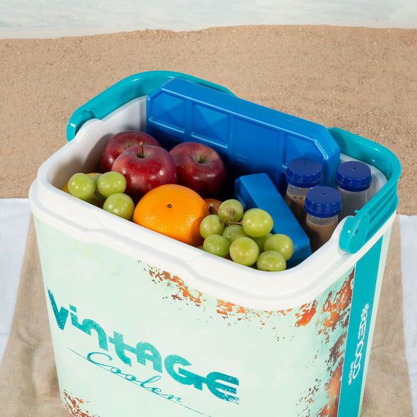 Robuste tragbare Kühlbox Aktive 24 L 37 x 35 x 27 cm Blau (2 Stück)