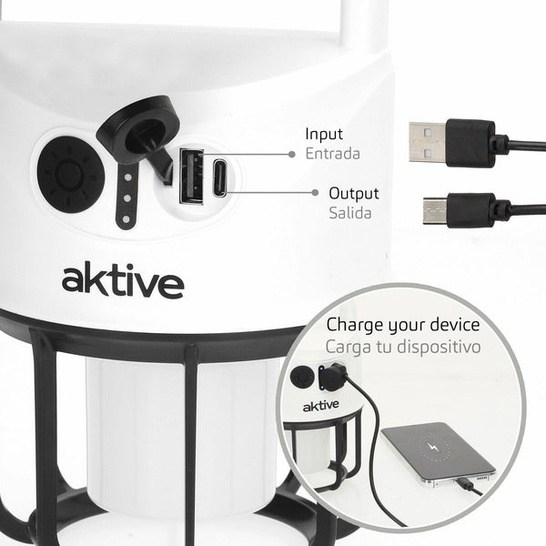 Laterne Aktive (6 Stück)