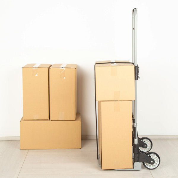 Mehrzweckwagen Aktive 40 x 100 x 40 cm (2 Stück)