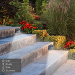 Solarlampe Aktive 8,5 x 9 x 5,5 cm (6 Stück)