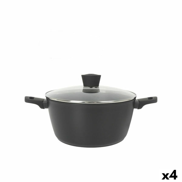 Topf mit Deckel MasterChef 28 cm (4 Stück)
