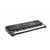 Tastatur Kurzweil KP110 LB