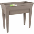 Blumentopf EDA   Gemüse Pflanztisch Taupe 73 x 38,5 x 68 cm