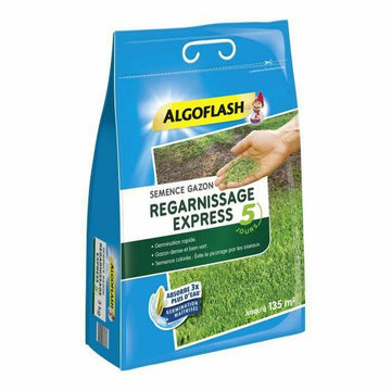 Samen Algoflash Express Rasen 3 Kg