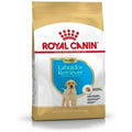 Futter Royal Canin Welpe/Junior Huhn 3 Kg