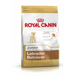 Futter Royal Canin Labrador Retriever Junior Welpe/Junior Huhn Reis Mais Vögel 12 kg