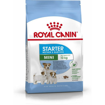 Futter Royal Canin Starter Mother And Babydog Erwachsener Huhn Vögel 1 kg