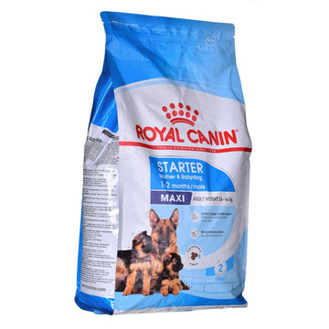 Futter Royal Canin Maxi Starter Mother & Babydo Vögel 4 Kg