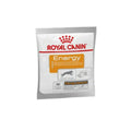 Katzenfutter Royal Canin NUTRITIONAL SUPPLEMENT ENERGY