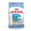 Futter Royal Canin Mini Puppy Welpe/Junior Huhn Reis Vögel 2 Kg