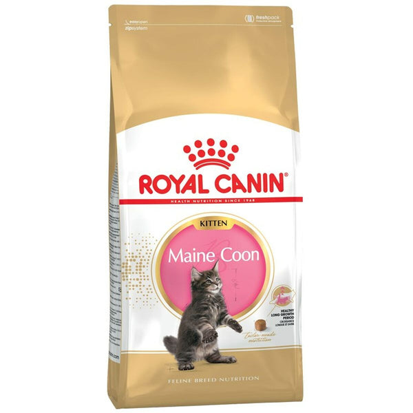 Katzenfutter Royal Canin Maine Coon Kitten Reise Vögel 2 Kg