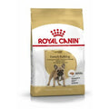 Futter Royal Canin French Bulldog Erwachsener Schwein 9 kg