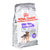 Futter Royal Canin Mini Sterilised Erwachsener Huhn 1 kg