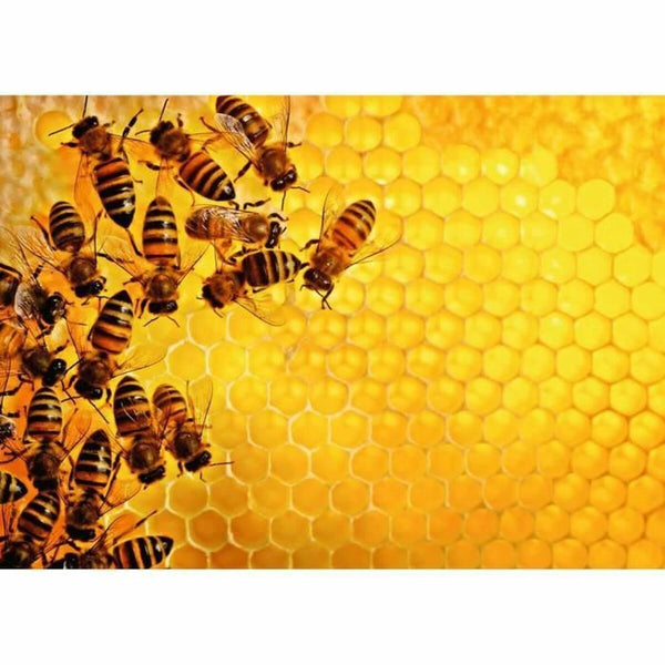 Puzzle Ravensburger Challenge 17362 Beehive 1000 Stücke