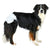 Windeln Trixie 23631 Hund XS/S