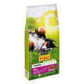 Futter Purina Friskies Maxi Dog Erwachsener Rindfleisch 10 kg