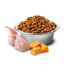 Katzenfutter Farmina   Kürbis Erwachsener Huhn 1,5 Kg