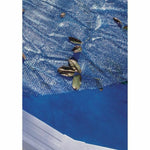 Poolabdeckung Gre   Blau 5 x 3 m