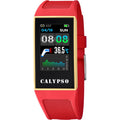 Activity-Armband Calypso K8502/3